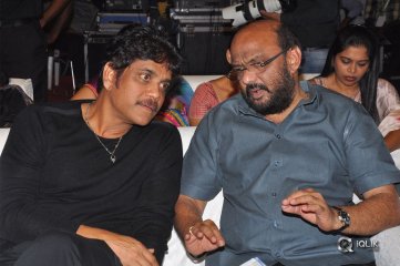 Sailaja Reddy Alludu Movie Pre Release Event Photos